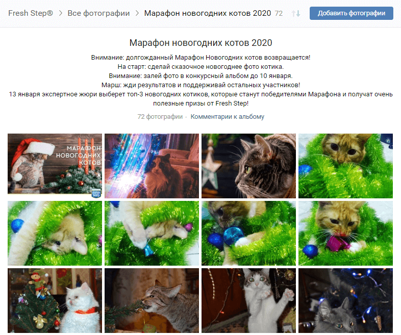 Творческий конкурс ВКонтакте_ марафон новогодних котов